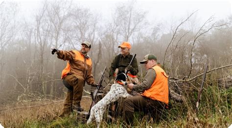 wv hunting license cost|Licenses & Permits: Hunting .